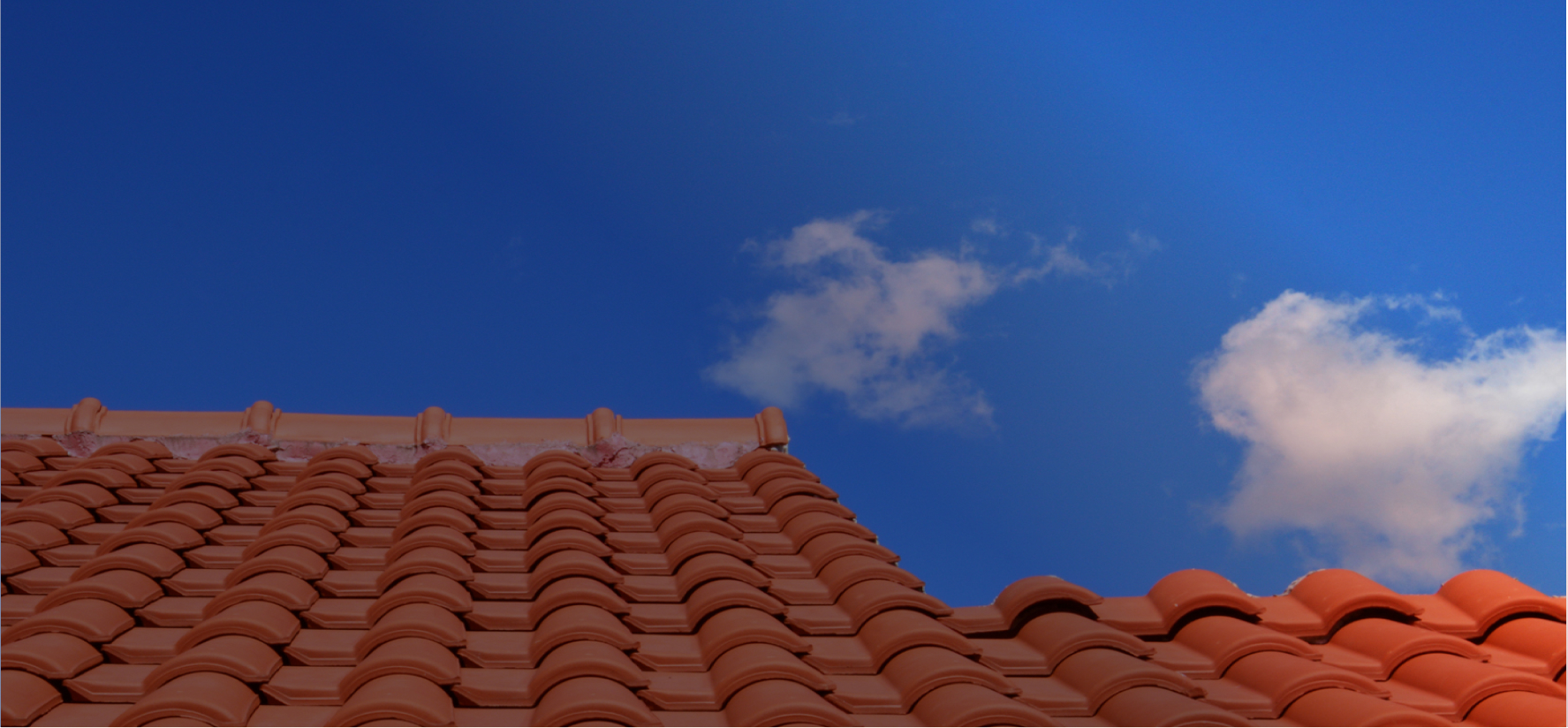 banner-bg